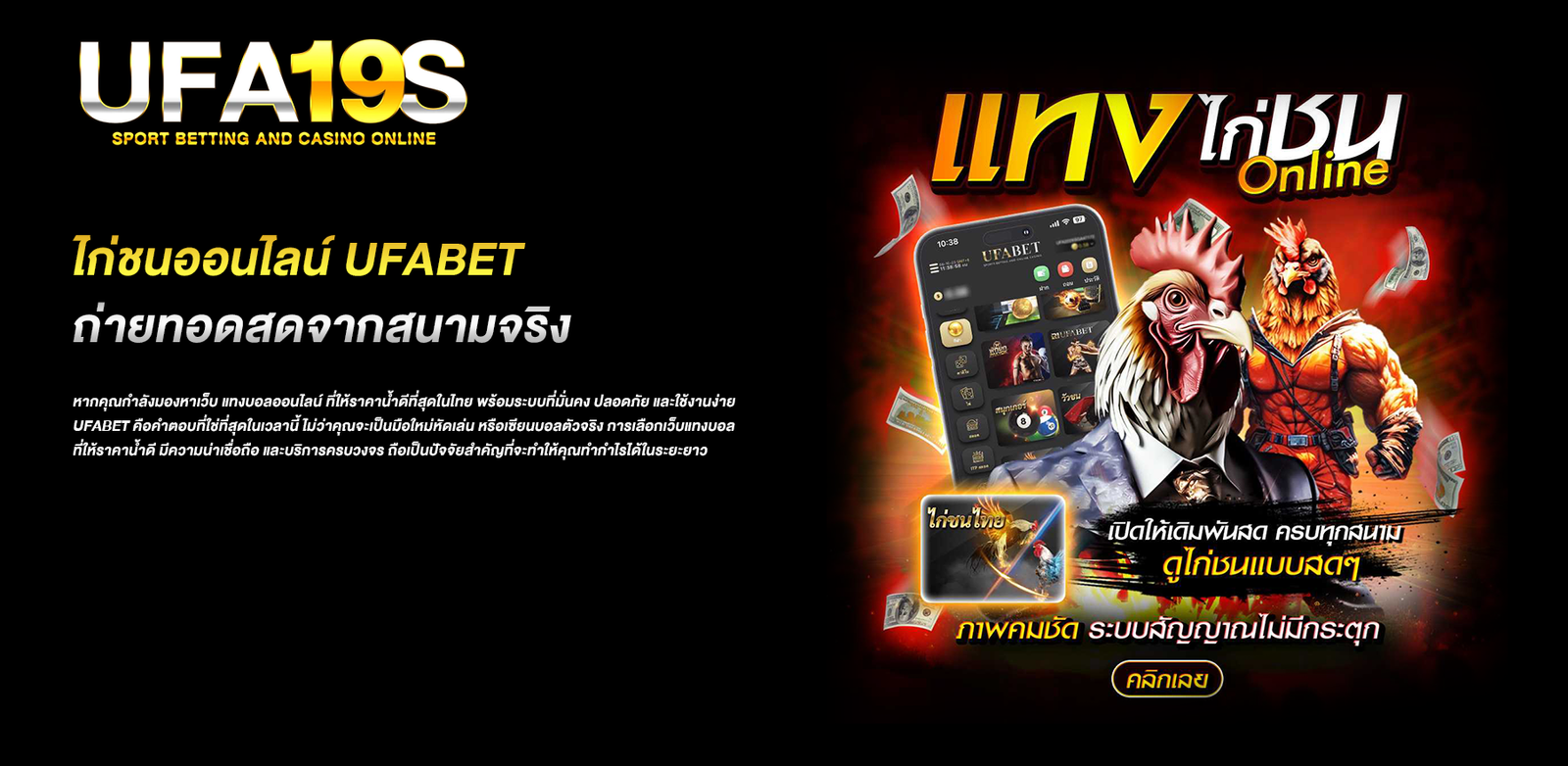 ไก่ชนออนไลน์ UFABET ถ่ายทอดสดจากสนามจริง