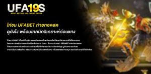 ไก่ชน ufabet ถ่ายทอดสด ดูยังไง พร้อมเทคนิควิเคราะห์ก่อนแทง